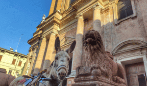Asino accamnto al leone di Piazza San Prospero
